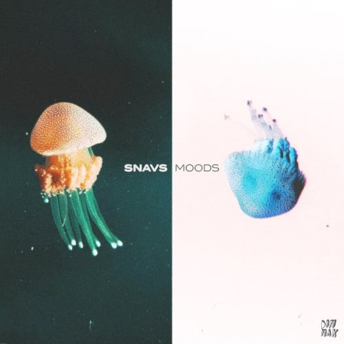 Snavs Moods Artwork | Soundrive