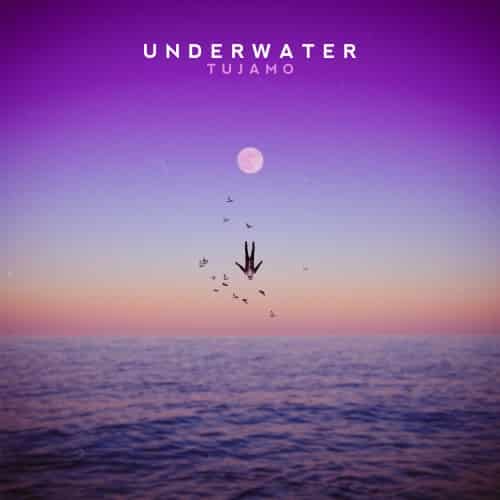 Tujamo Underwater ARTWORK 500 | Soundrive