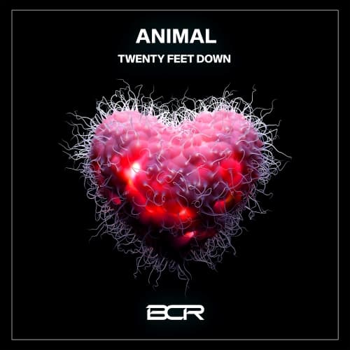 Twenty Feet Down Animal Artwork | Soundrive