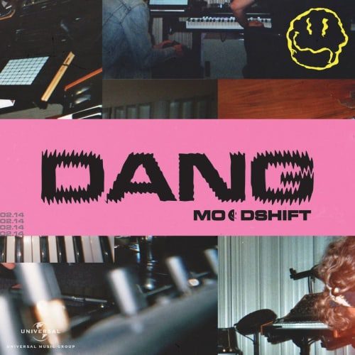 Moodshift DANG ARTWORK | Soundrive