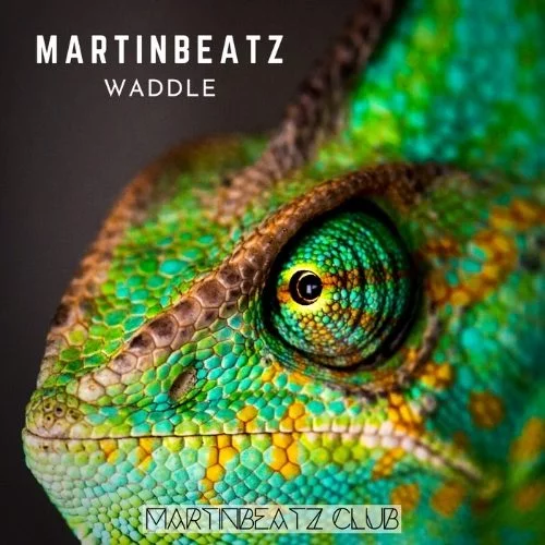 Martinbeatz Is Back With His Tech House Banger 'Waddle'