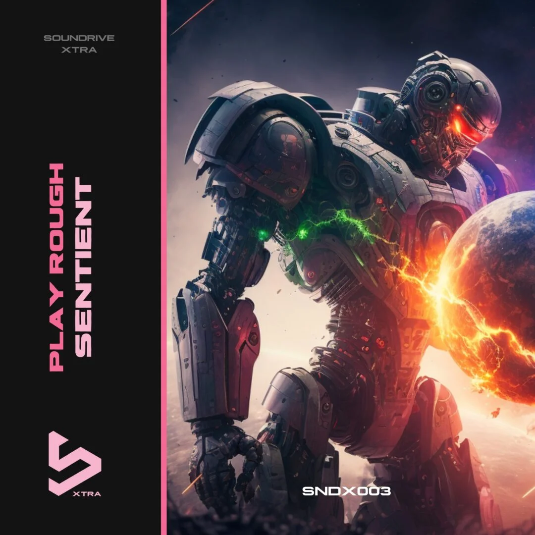 Play Rough Sentient Artwork Small | Soundrive